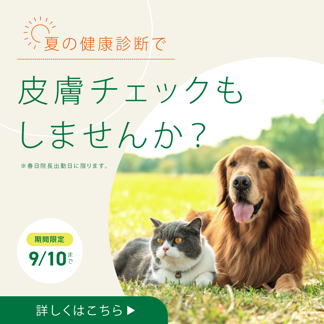 202308　夏の健康診断